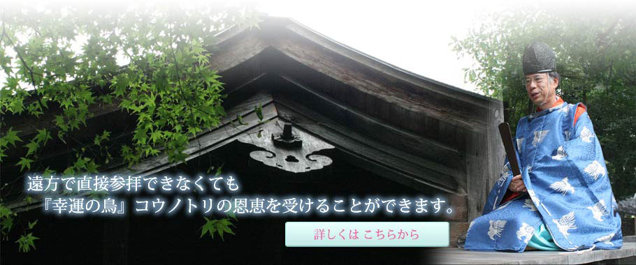 数々のエピソードを持つコウノトリ　子宝、安産の神社　コウノトリのお守り