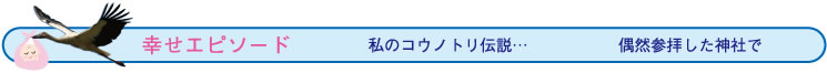 私とコウノトリ子宝伝説…　偶然参拝した神社で