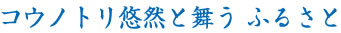 コウノトリ悠然と舞うふるさと