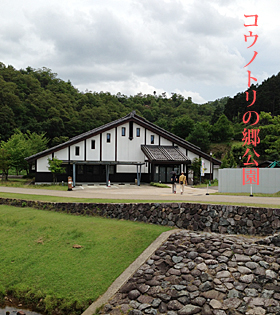 コウノトリの郷公園